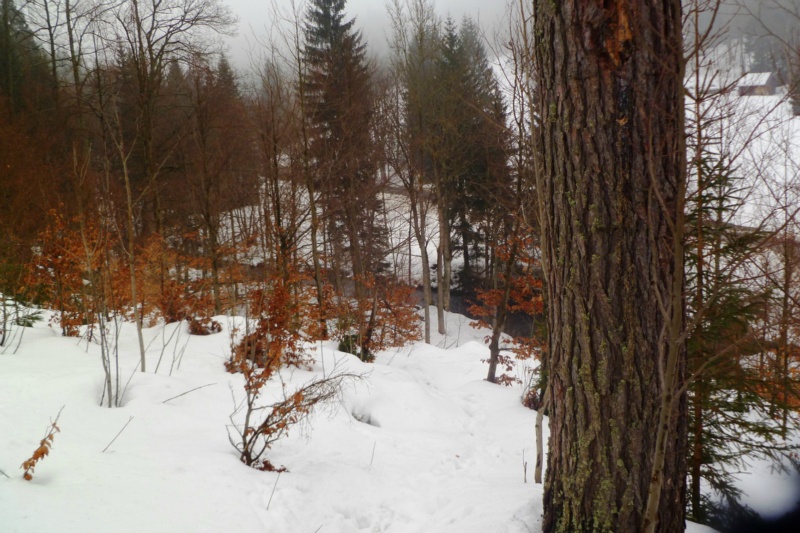 CAL Ztracen  chata NTM 07